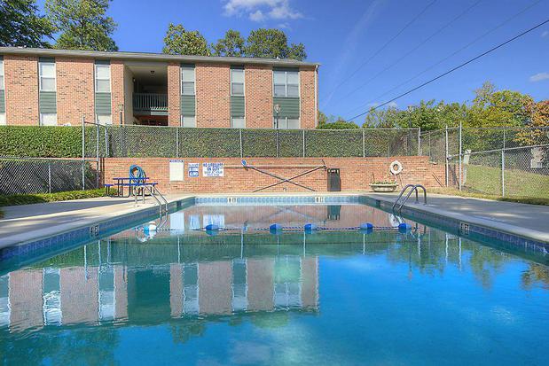 Images Springtree Apartments