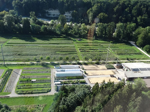 Emme Forstbaumschulen AG, Schachen 9 in Wiler b. Utzenstorf