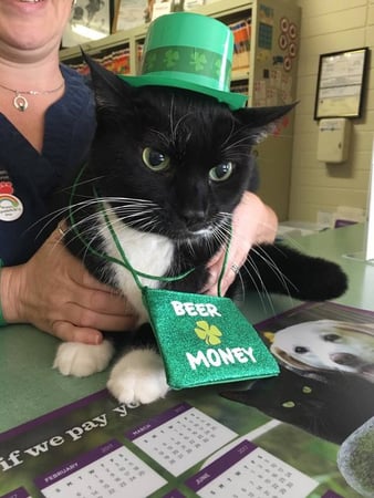 Images Manatee Veterinary Clinic