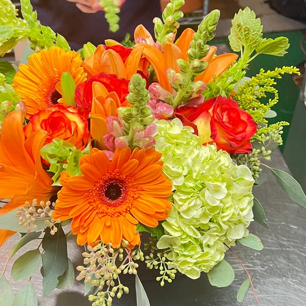 Images Citywide Flower Plants