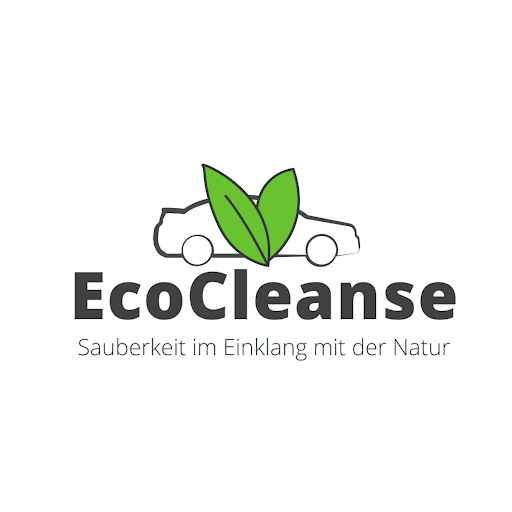 EcoCleanse | Mobile Autoreinigung München in Freising