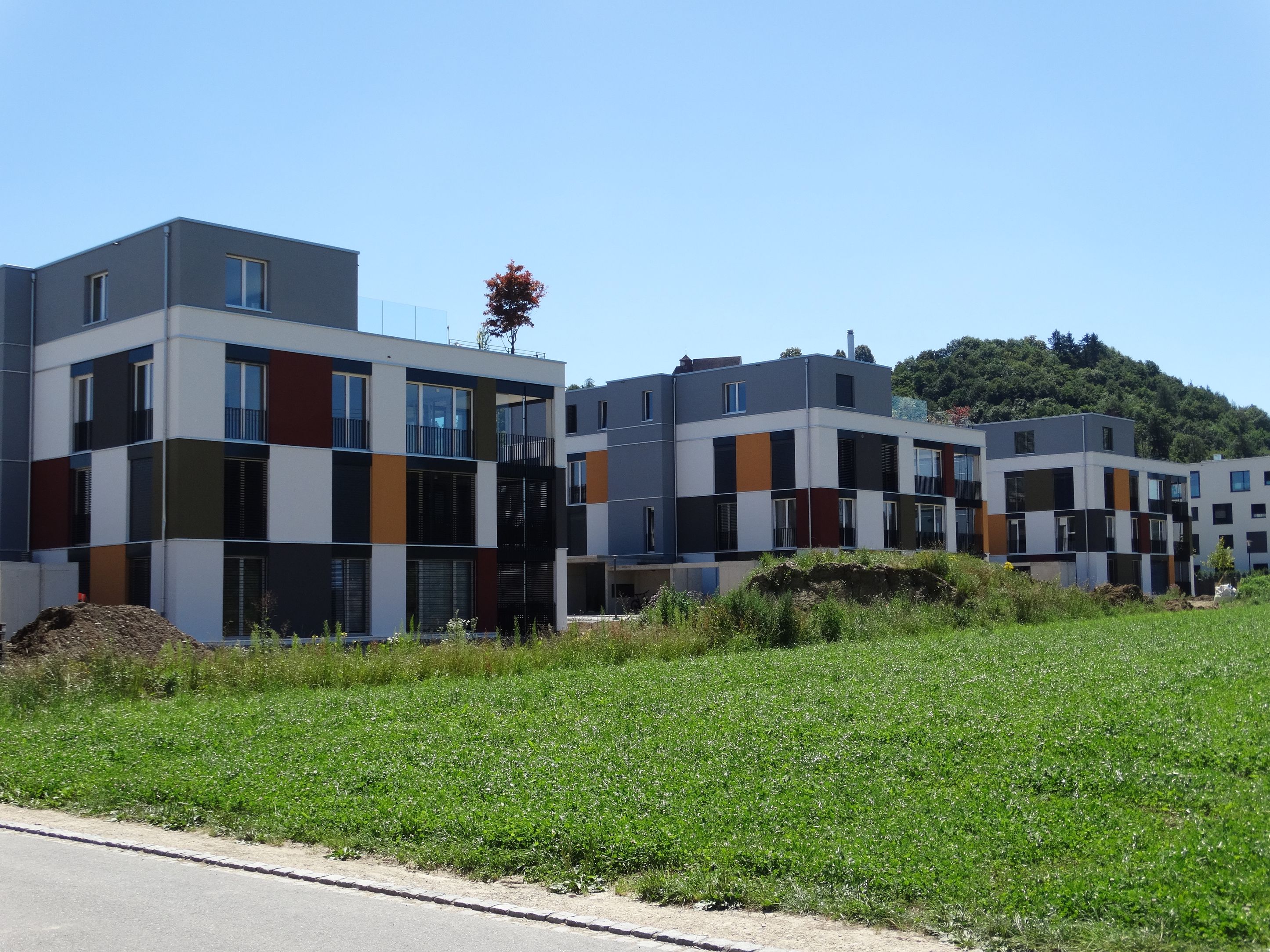 Bilder Fischer Max AG