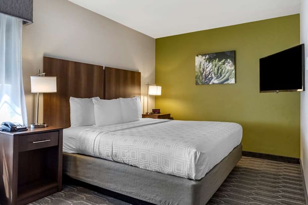 Images Best Western North Phoenix Hotel