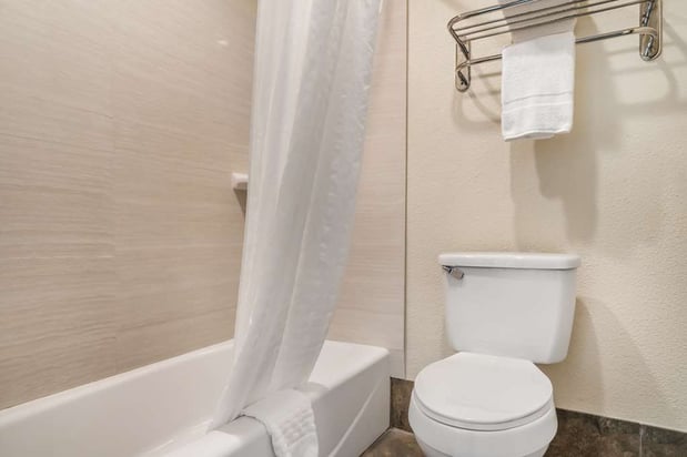Images Best Western Padre Island