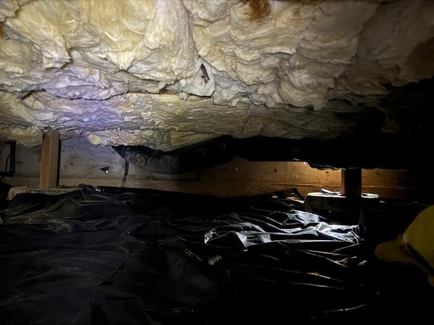 Images Rutman Restoration
