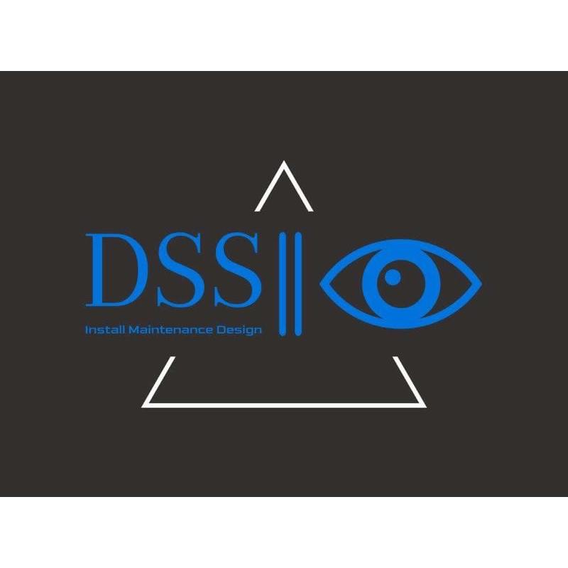 Dedicated Security Solutions Logo