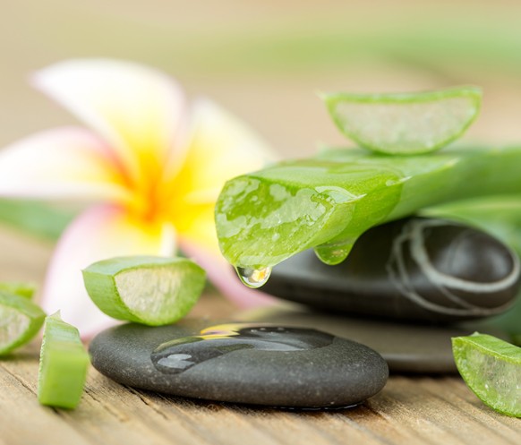 Bild 5 Bio-Cosmetik in Ulm