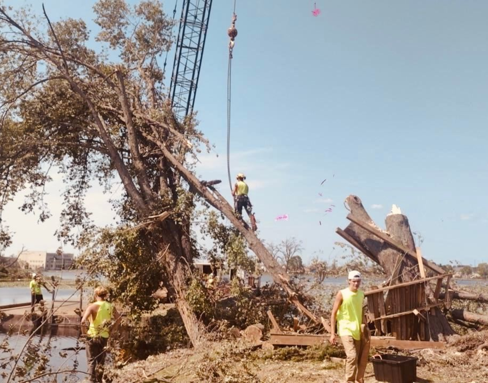 Bay City Land Management