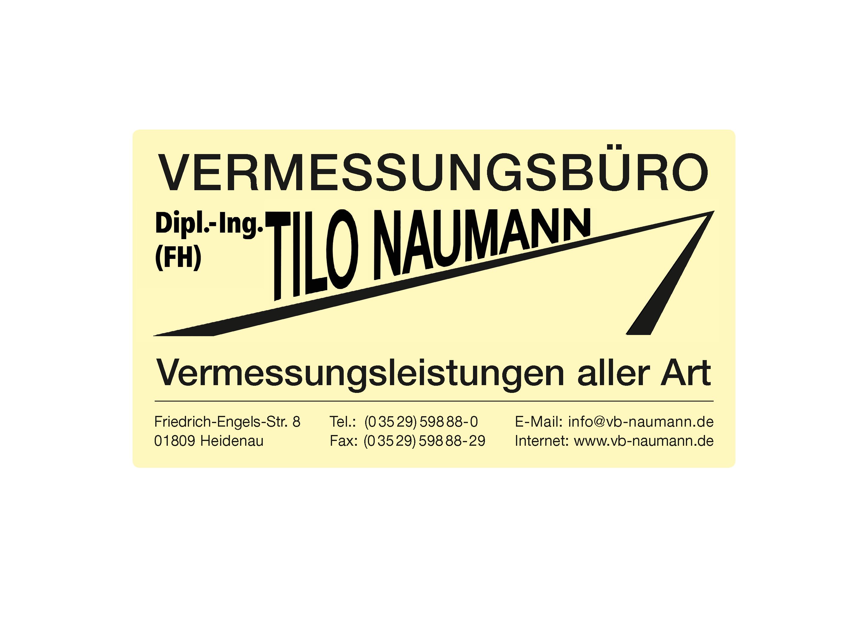 Vermessungsbüro Dipl.-Ing. (FH) Tilo Naumann in Heidenau in Sachsen - Logo