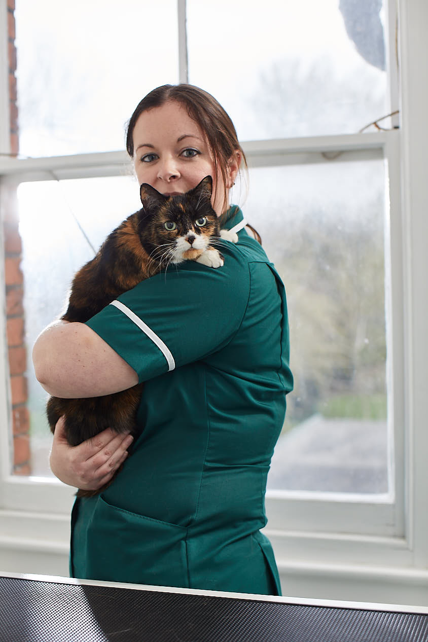 Broughton Veterinary Group, Leicester Leicester 01162 517677