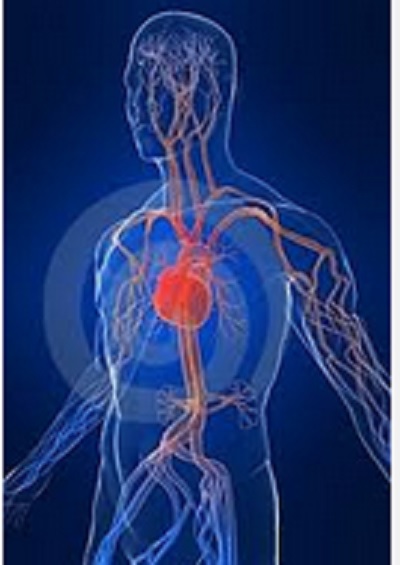 Images Luppino Dott. Giuseppe e Luppino Dott. Giovanni