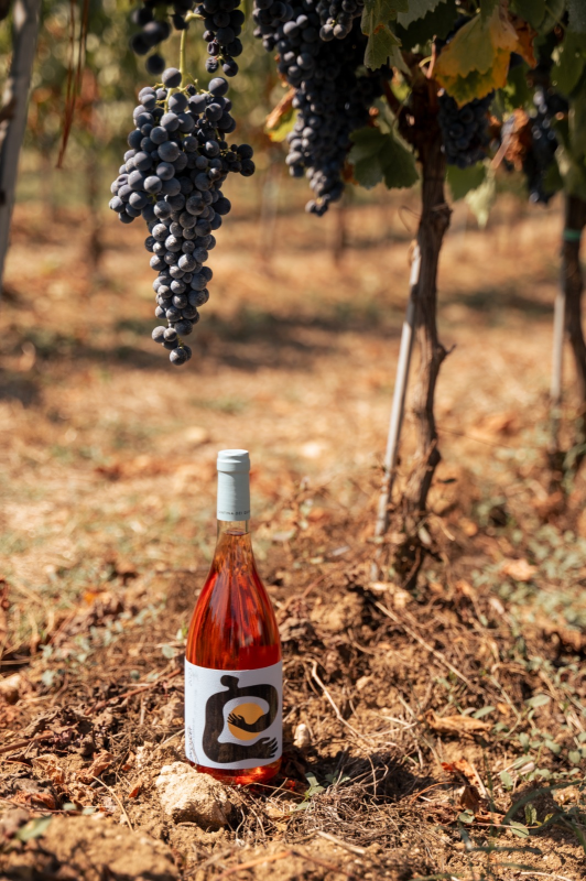 Images Cantina dei Quinti