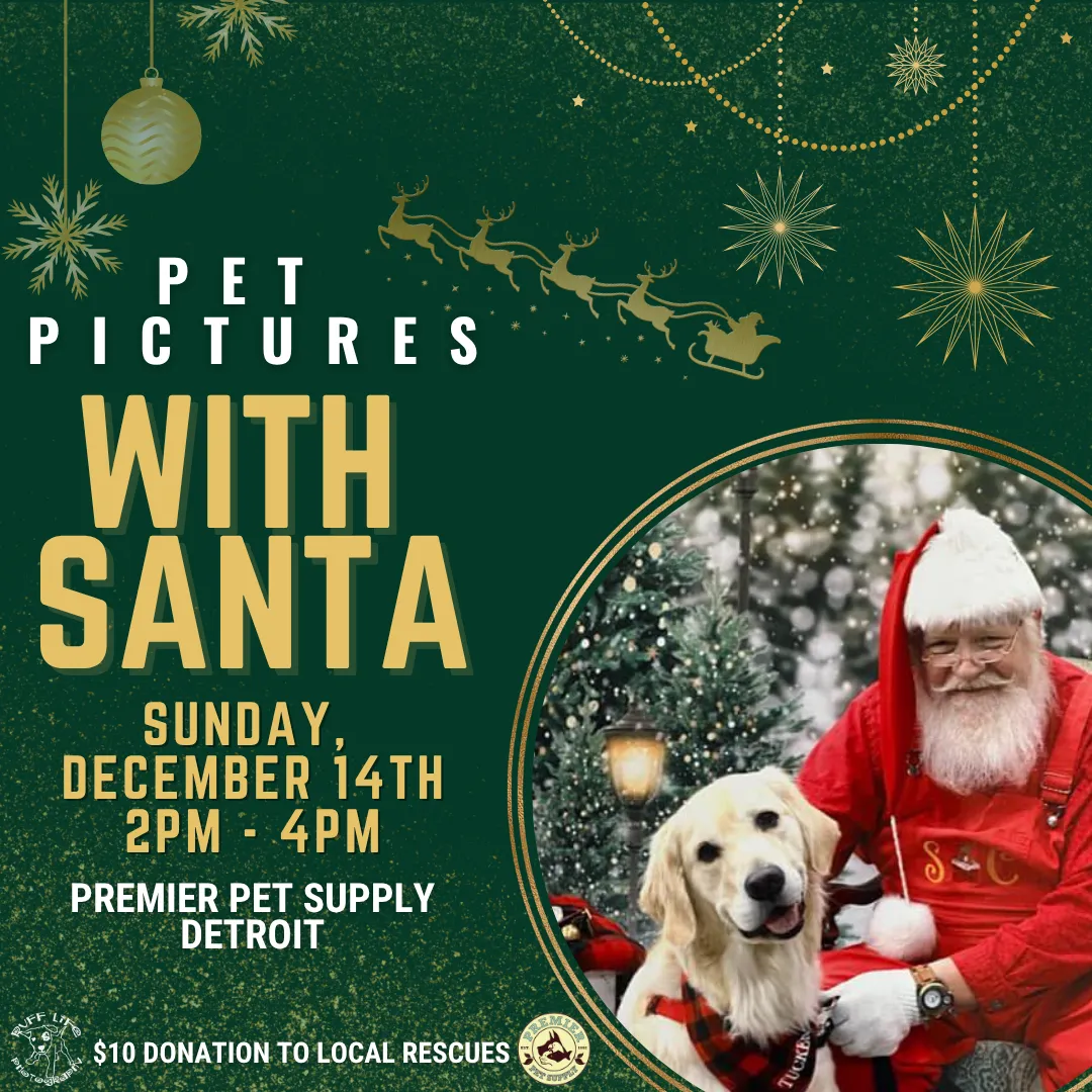 Image of Local Pet Event PET PHOTOS W/ SANTA & RUFF LIFE PHOTOGRAPHY | DETROIT Nearby