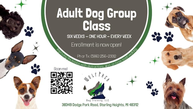 Images Wolf Pack Dog Training, LLC
