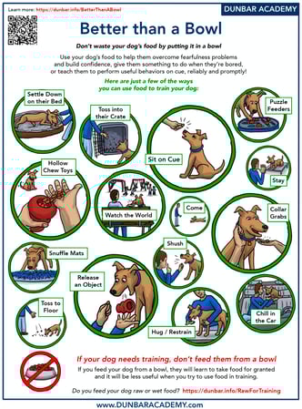 Images South Paw Doggie Daycare & Training Center
