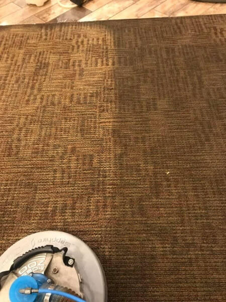 affordable carpet cleaning in Sioux City