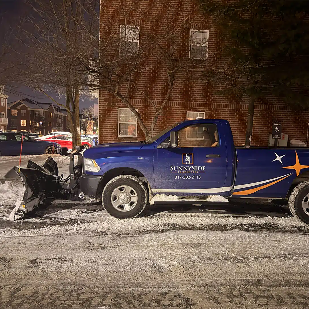 SunnySide Landscapes Image