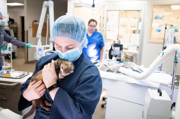 Images Belton Animal Clinic & Exotic Care Center