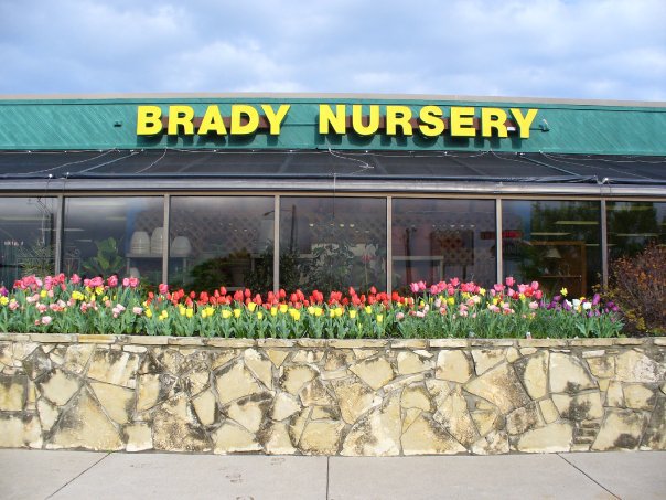 Images Brady Nursery