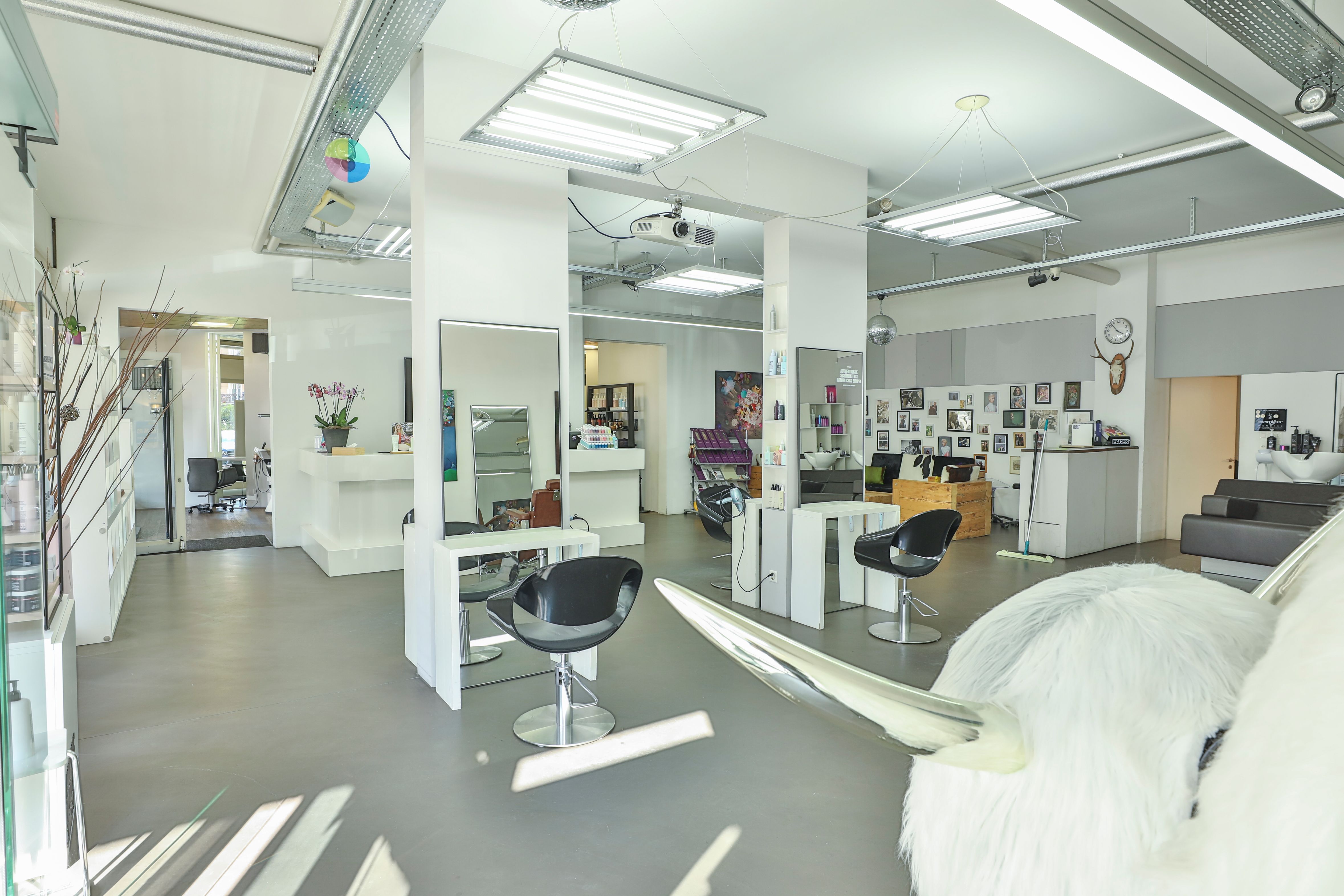 Bilder thestudio