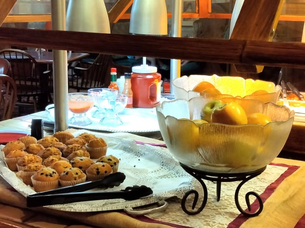 Images Holiday Inn Saint Louis West at Six Flags by IHG