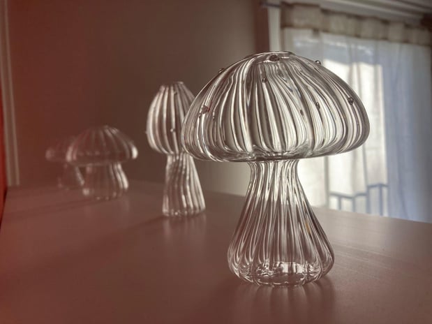 Images Rising Phoenix Entheogenic Temple (Mushroom Church)