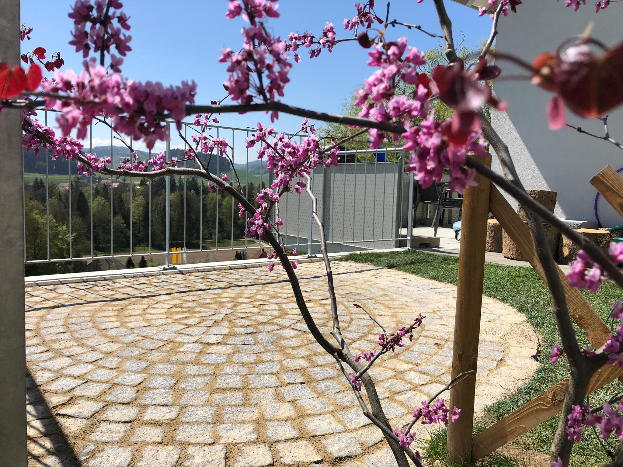 Vatter Garten AG, Schwand 9 in Münsingen