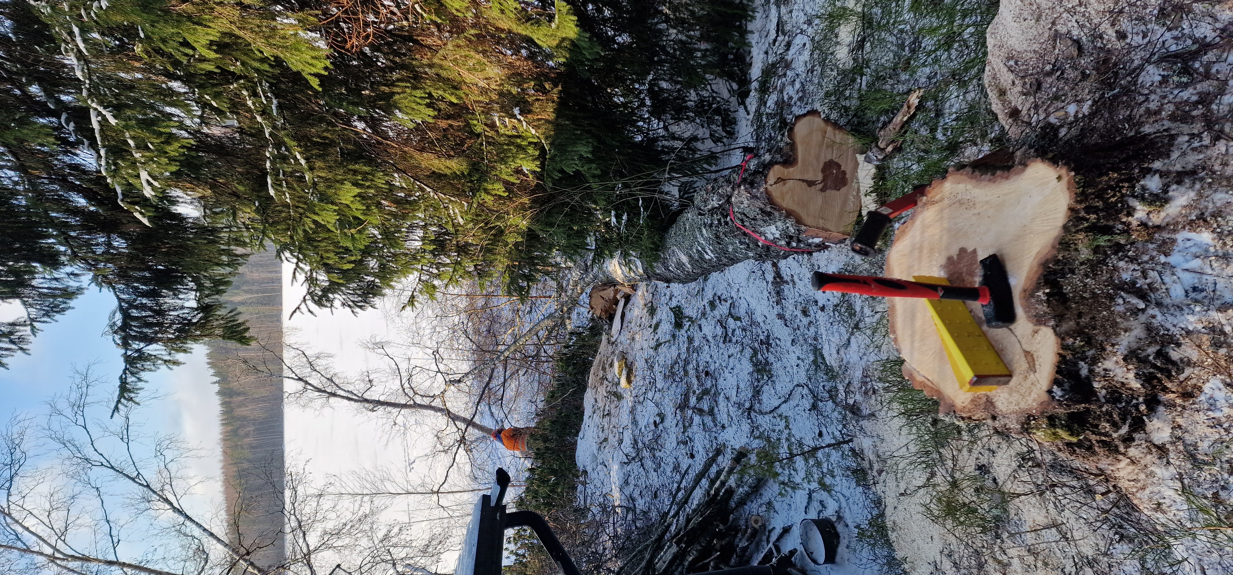 Images Välijoen metsätyö Oy