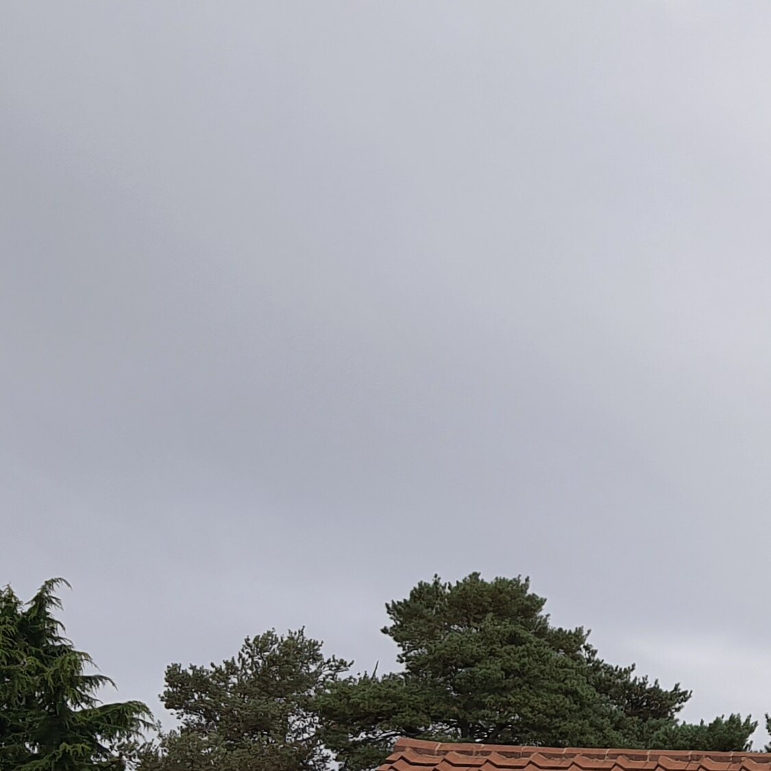 Images MM Roof Cleaning Services (MMRCS)