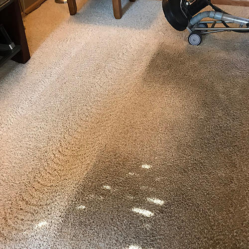 best carpet steam cleaner Brandon SD