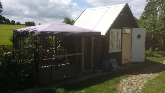 Images Sorana Dyreklinik & Kattepension