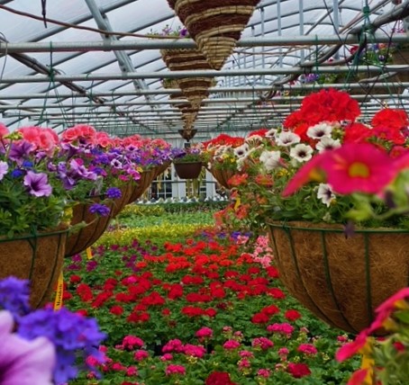 Image 4 | J & K's Four Seasons Floral and Greenhouse