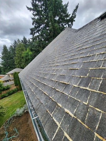 Images NJM Roof & Gutter Cleaning