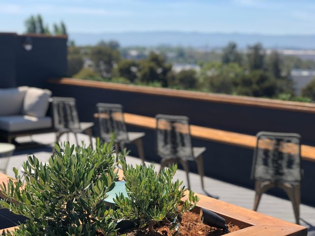Images Holiday Inn & Suites Silicon Valley - Milpitas by IHG