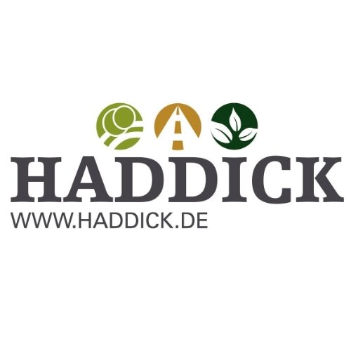 Haddick Projekt GmbH in Borken in Westfalen - Logo