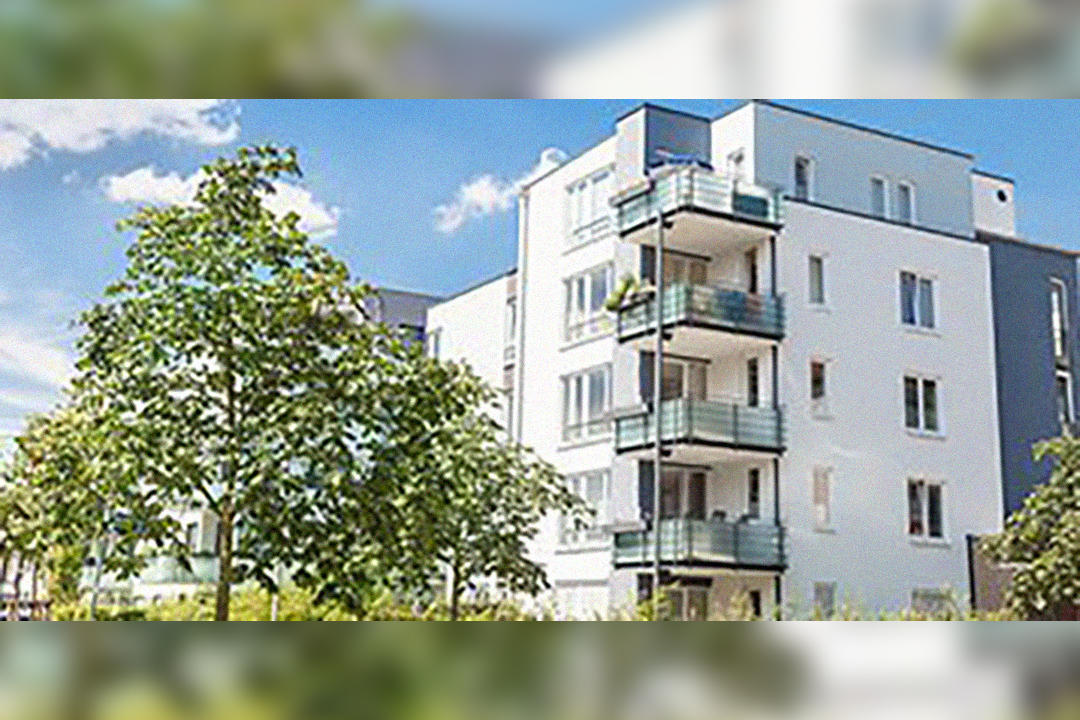 Baardse Immobilien GmbH