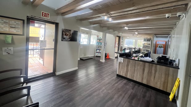 Images VCA Coast Animal Hospital