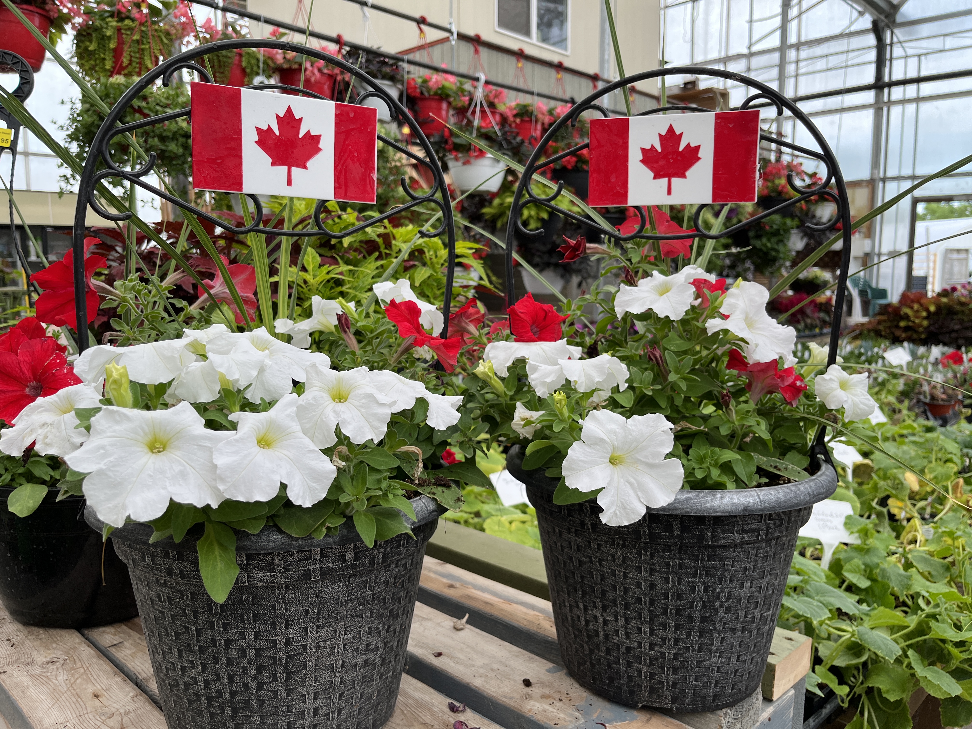 Images C & S Country Gardens