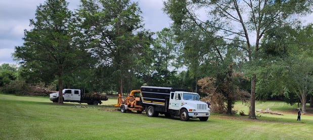 Images Broken Branch Tree Service LLC