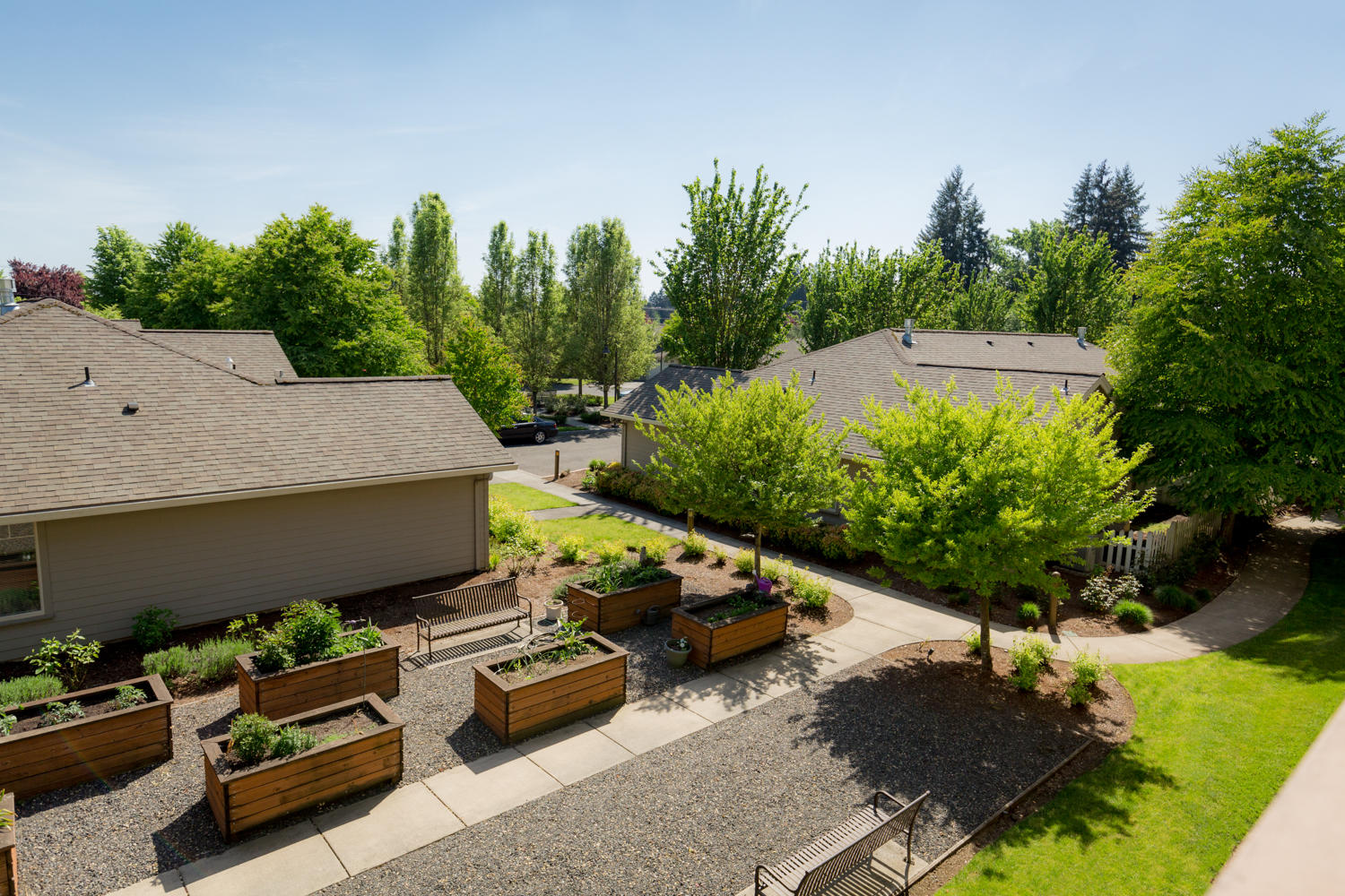 Community Garden