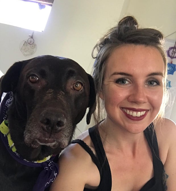 Images Del Mar Doggers dog walking, dog sitting, overnight stays