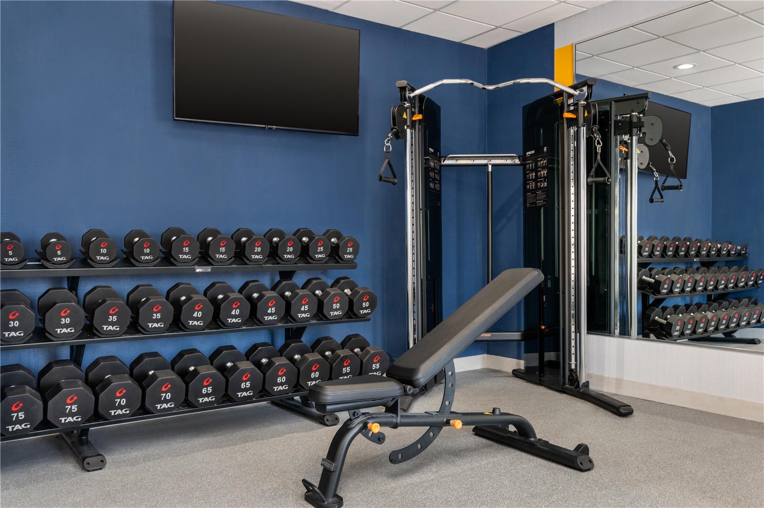 Health club fitness center gym