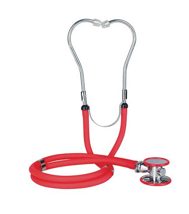 Bachofner BDC Swiss, Hondrichstrasse 119 in Hondrich