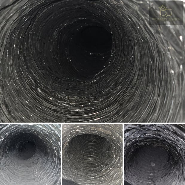 Images Dynasty Ducts