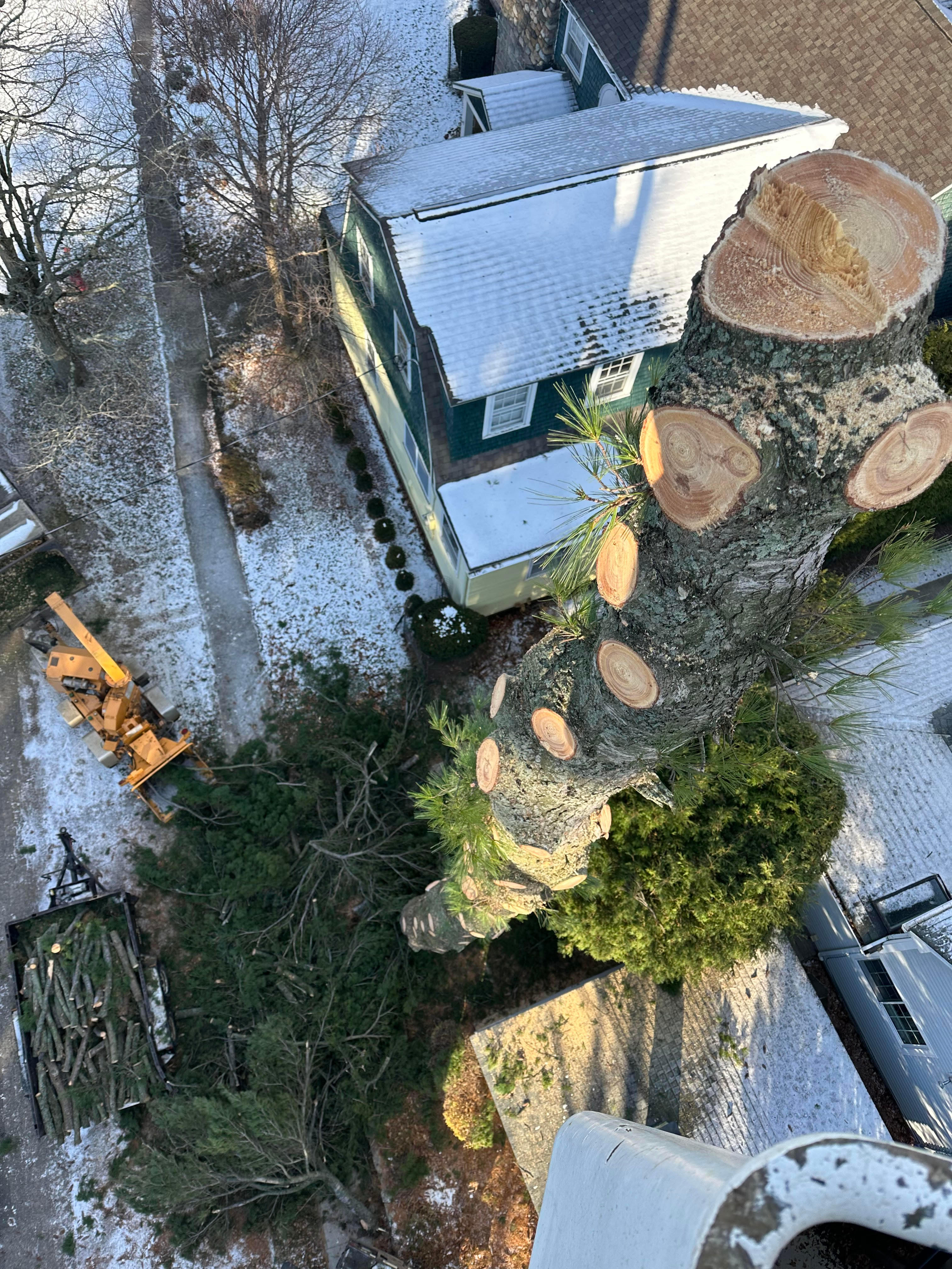 Rice Tree Service LLC Logo