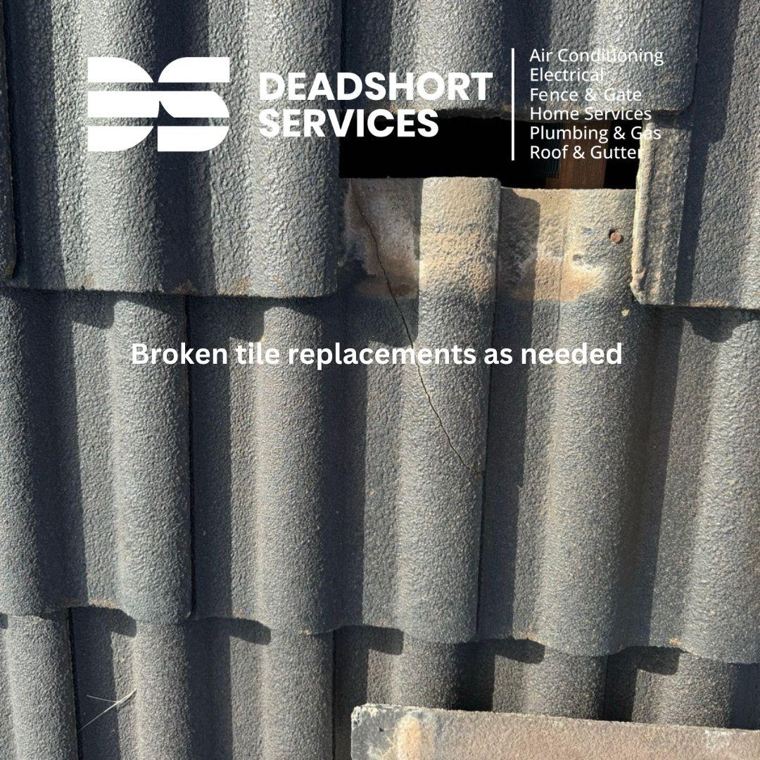 Images Deadshort Services