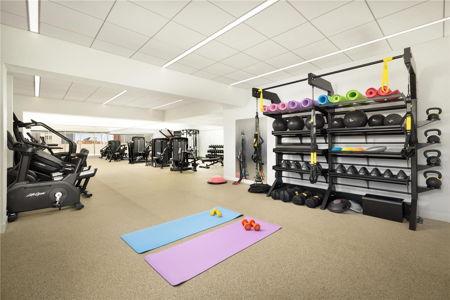 Health club  fitness center  gym 