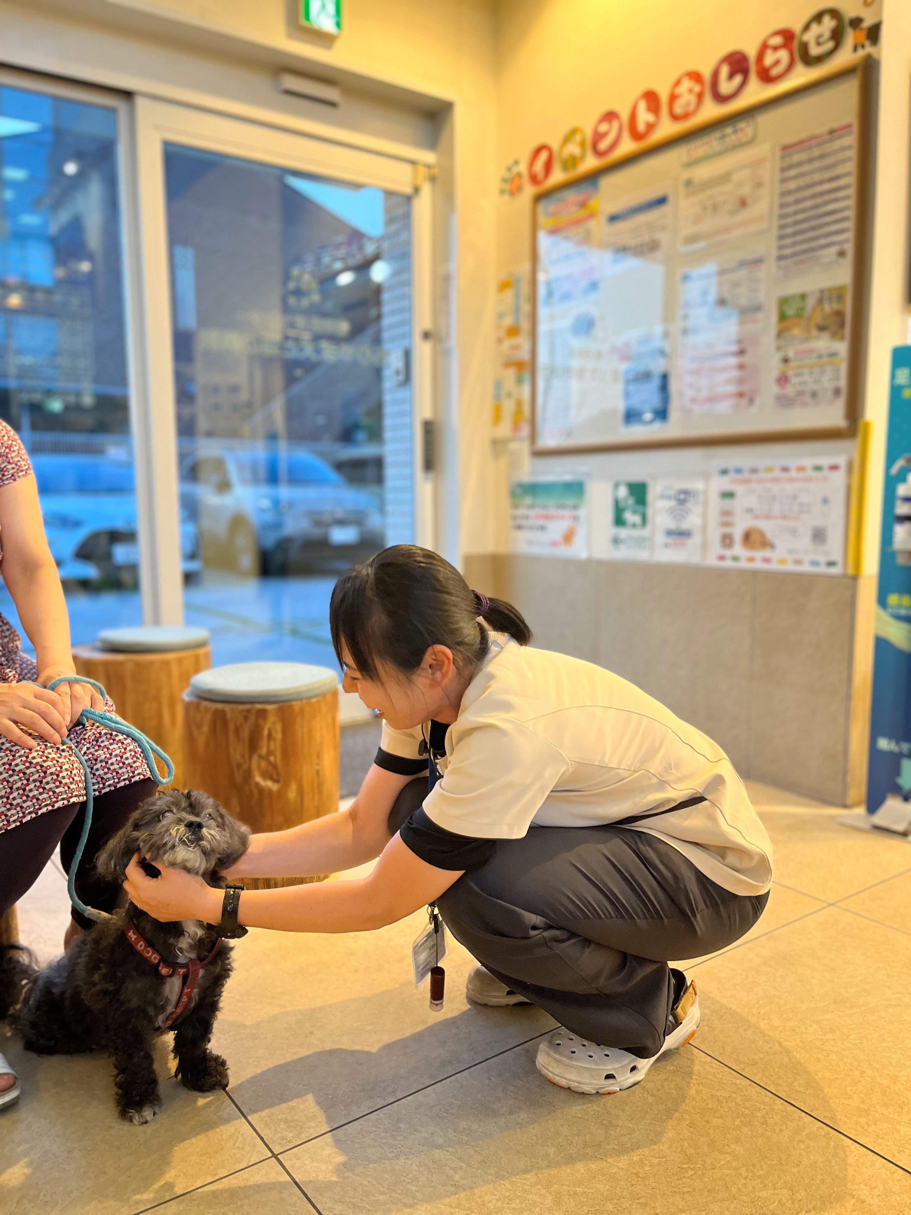 Images 動物医療センター もりやま犬と猫の病院