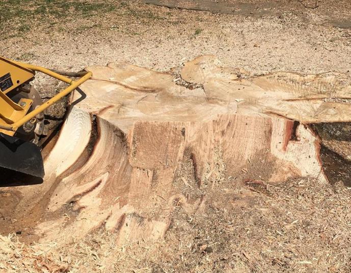 Images Parlock Property Services, LLC