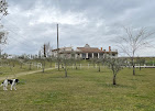 Images Pasimonacha S.L.